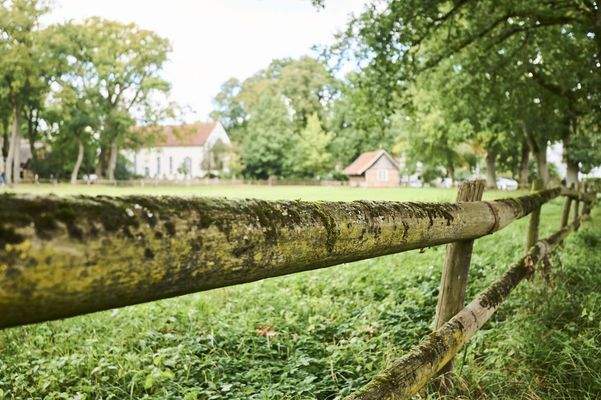 Impression Quelkhorn