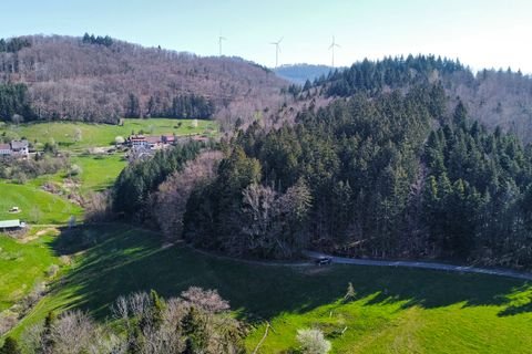 Schopfheim Grundstücke, Schopfheim Grundstück kaufen