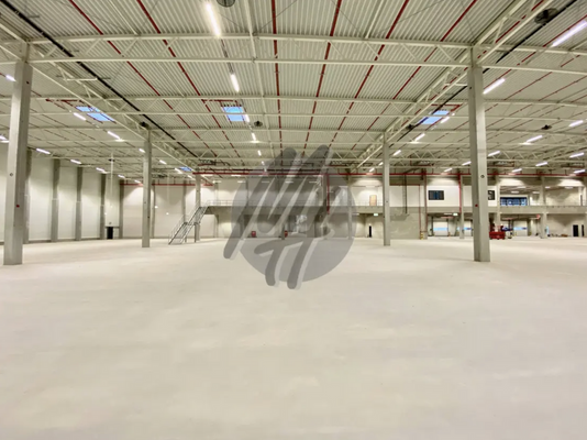 INFOS UNTER: 06171-586000