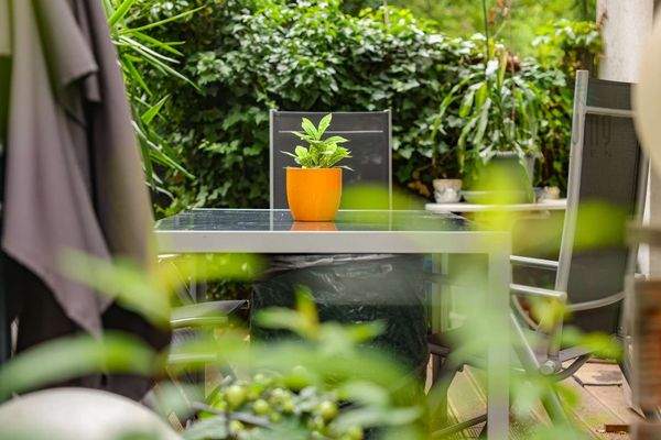 Tisch mit Pflanze