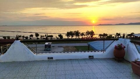 Chalkidiki Gastronomie, Pacht, Gaststätten