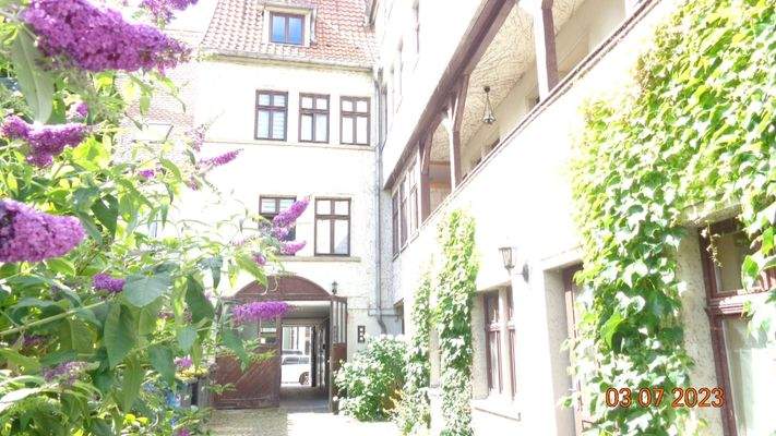 Blick aus dem Garten.JPG