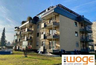 IMG_7813 verkleinert mit Log.jpg