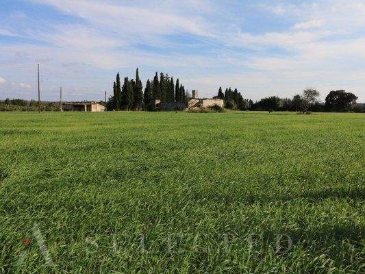 New brand Villa in construction between Inca and Llubi_04