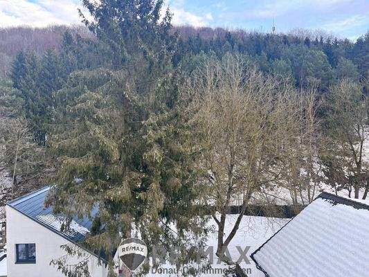 04. Eigentumswohnung 3021 Pressbaum