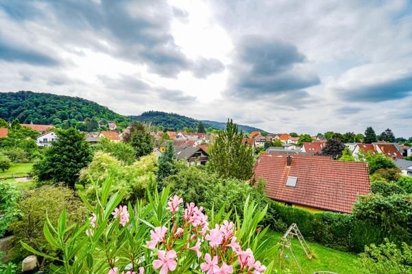 Balkonblick nach Süden