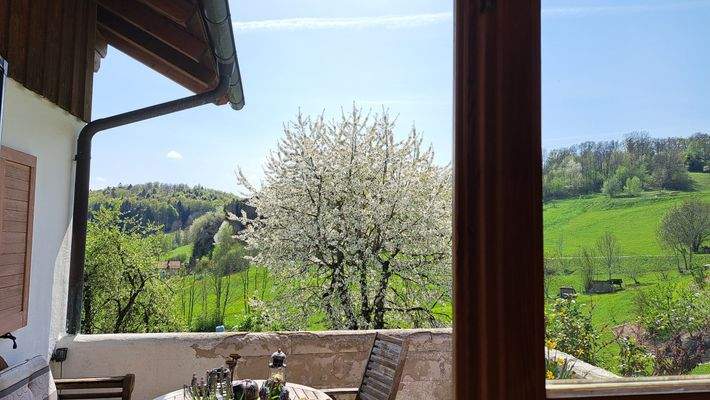 Terrasse Erdgeschoss