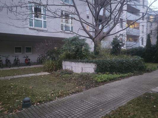 Gemeinschaftsgarten im Innenhof II