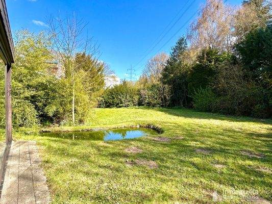 Impressionen aus dem Garten