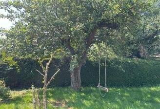 Garten.jpg
