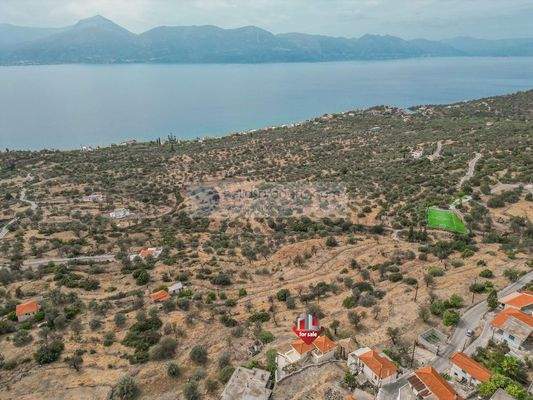 36f5603ff610488f813096d975965d3d-original