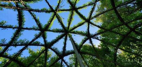 Pfaffenhofen a.d.Ilm Bauernhöfe, Landwirtschaft, Pfaffenhofen a.d.Ilm Forstwirtschaft