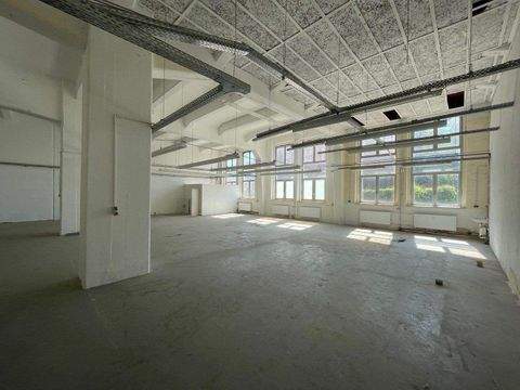 Berlin Halle, Berlin Hallenfläche