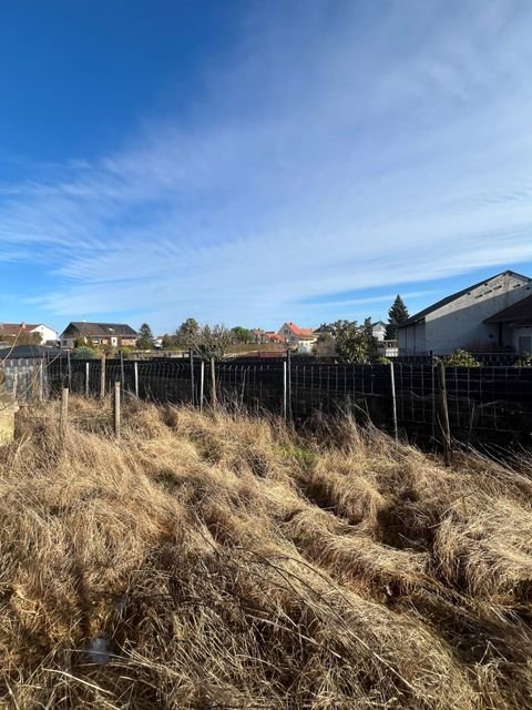 Wachenheim an der Weinstraße Grundstücke, Wachenheim an der Weinstraße Grundstück kaufen