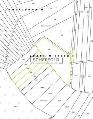 Wiesen Katasterauszug
