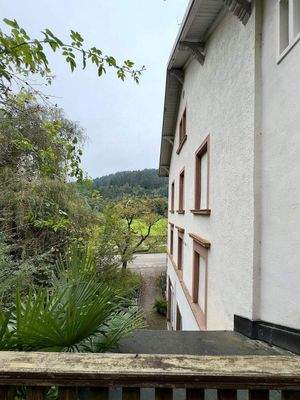 Wiehre-Günterstal: Garten für 4 sich einige Käufer