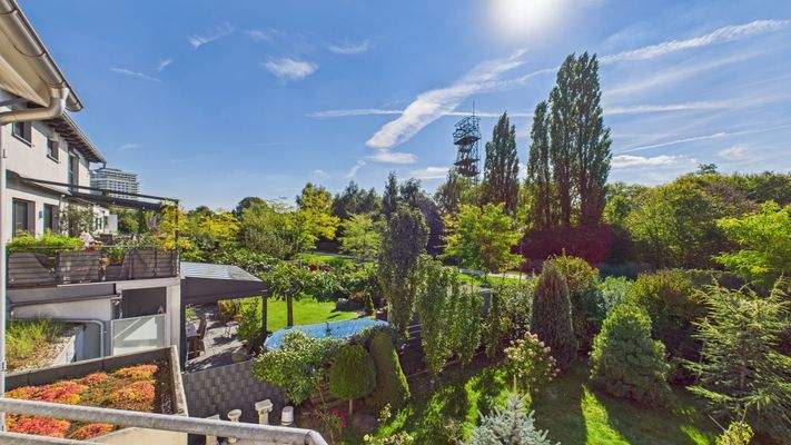 Aussicht zur grünen Hinterseite