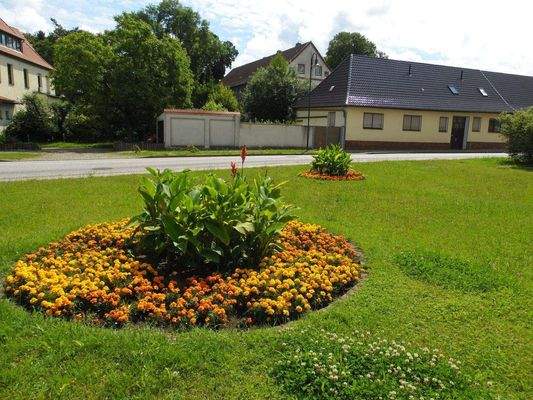 Blick vom Park aufs Doppelhaus