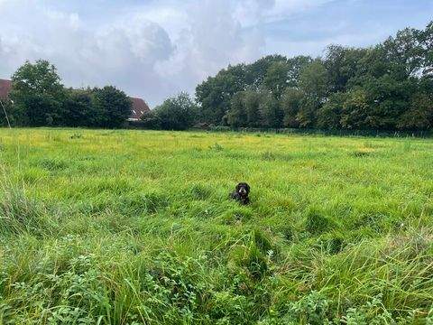 Ellerau Grundstücke, Ellerau Grundstück kaufen