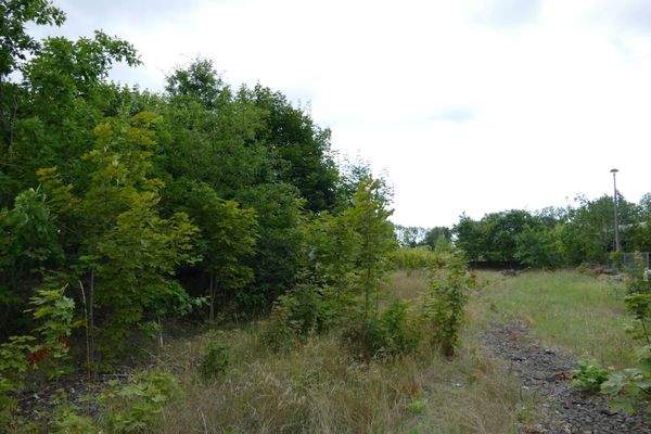 Bauland          .jpeg