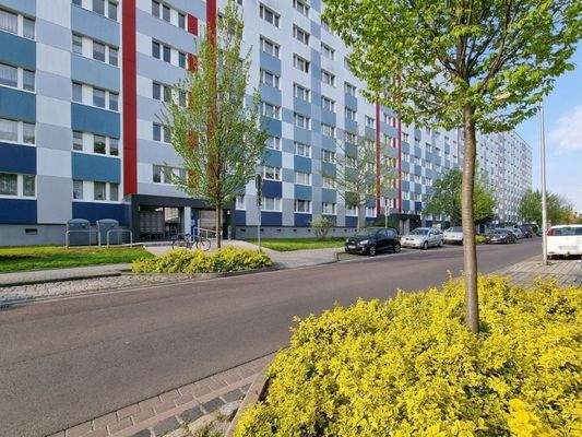 Ansicht Eingangsseite des Objektes