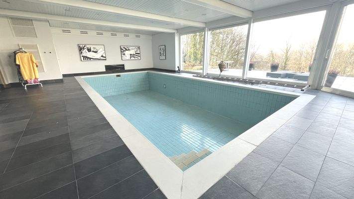 Schwimmbad - Blick in den Garten