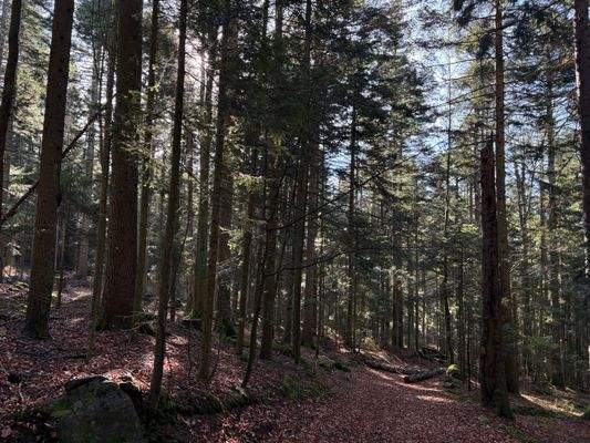 2025-11-05 11.11.23.jpg