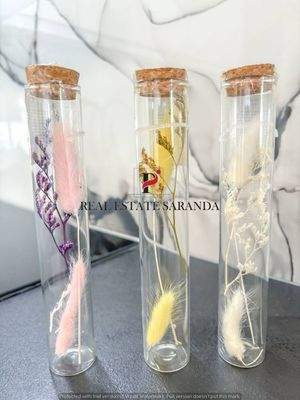 WhatsApp Image 2024-05-06 at 10.24.08 (18).jpeg