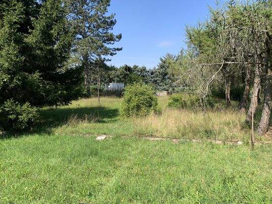 Fläche an der Straße