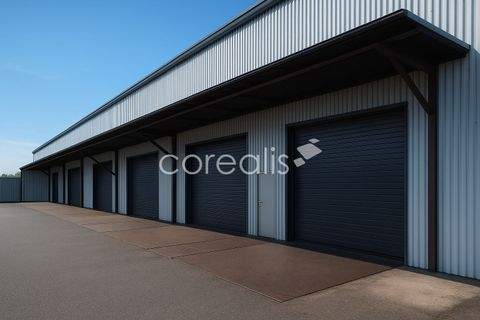 Mönchengladbach Halle, Mönchengladbach Hallenfläche