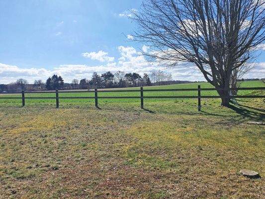 Ausblick auf angrenzende Wiesen