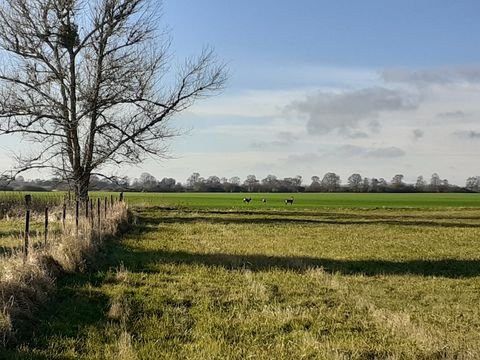 Ducherow Grundstücke, Ducherow Grundstück kaufen