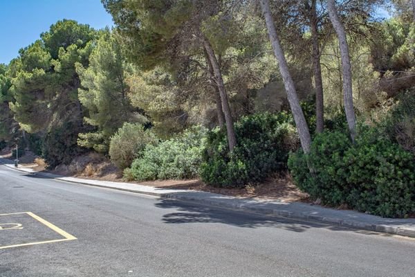 Grundstück gelegen an befestigter Straße