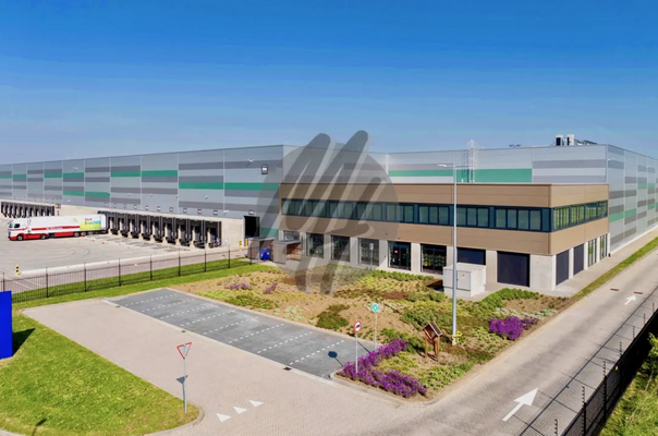 INFOS UNTER: 06171-586000