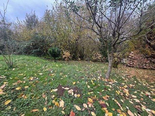 3) G_Gaggenau_Grundstück von oben