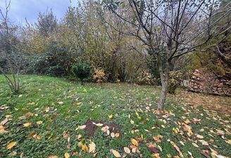 3) G_Gaggenau_Grundstück von oben