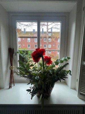 Ausblick vom Essbereich.jpg