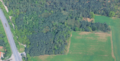 Erlangen Bauernhöfe, Landwirtschaft, Erlangen Forstwirtschaft