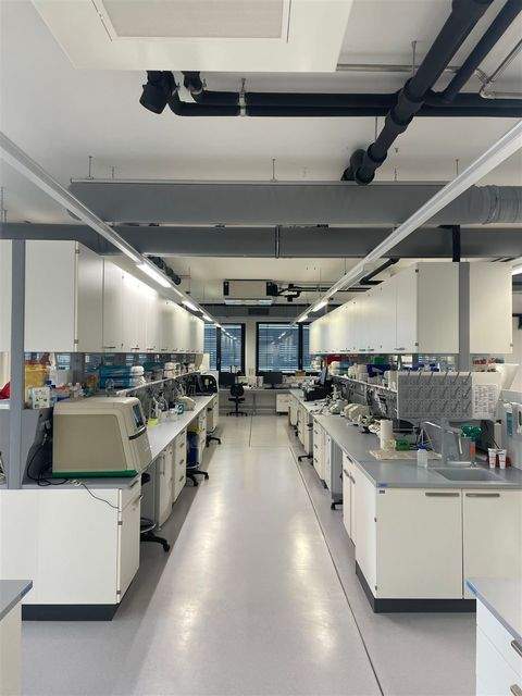 Planegg Büros, Büroräume, Büroflächen 