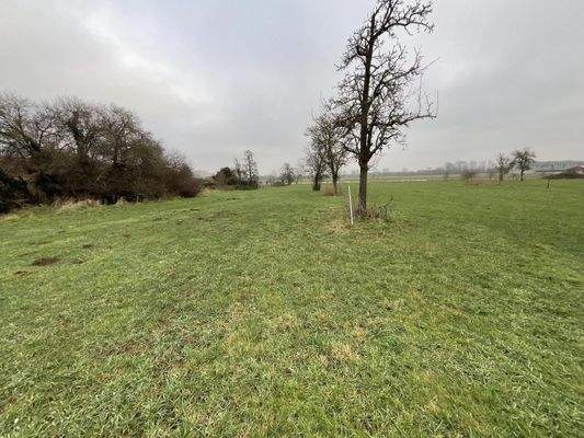 Seitenblick Rückansicht