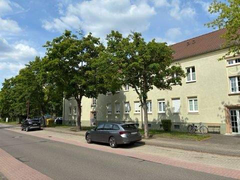 Großräschen Wohnungen, Großräschen Wohnung mieten