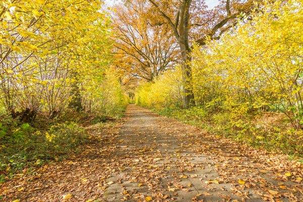 Spazieren in der Natur