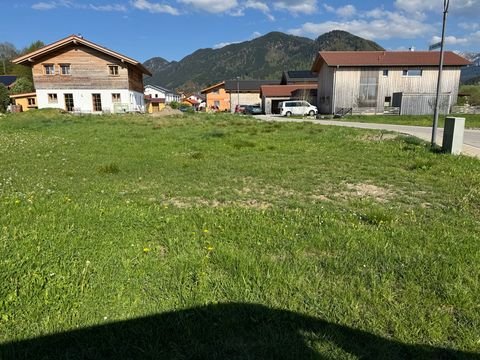 Halblech / Bayerniederhofen Grundstücke, Halblech / Bayerniederhofen Grundstück kaufen