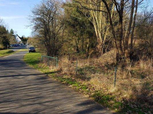 Blick vom Anliegerweg auf das Grundstück