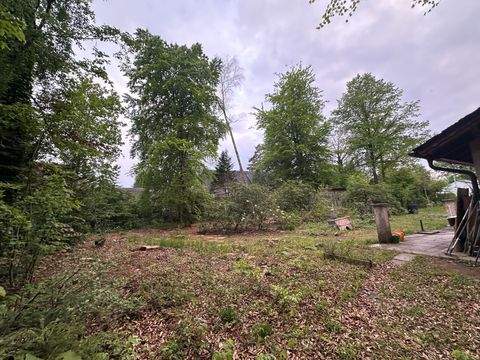 Grünwald Grundstücke, Grünwald Grundstück kaufen