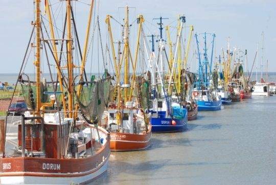 malerische Kutterhäfen.jpg