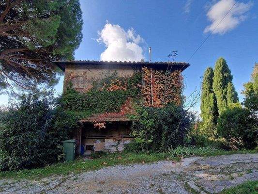 99LAzienda_ agricola_Toskana.jpg