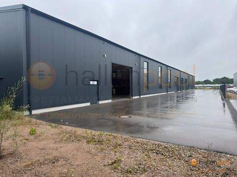 Roding Halle, Roding Hallenfläche