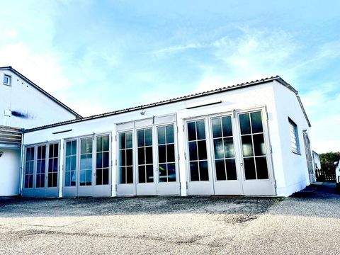 Wörth Halle, Wörth Hallenfläche