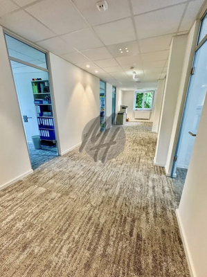 INFOS UNTER: 06171-586000